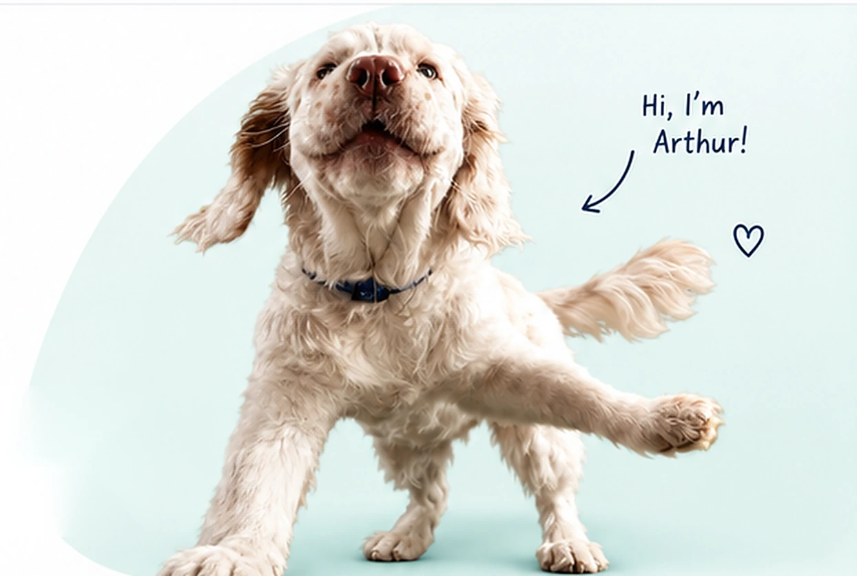 Arthur, the Vet Reviews dog