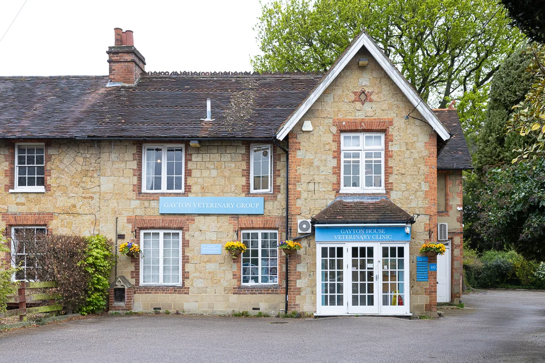Gayton House Veterinary Clinic exterior in Redhill