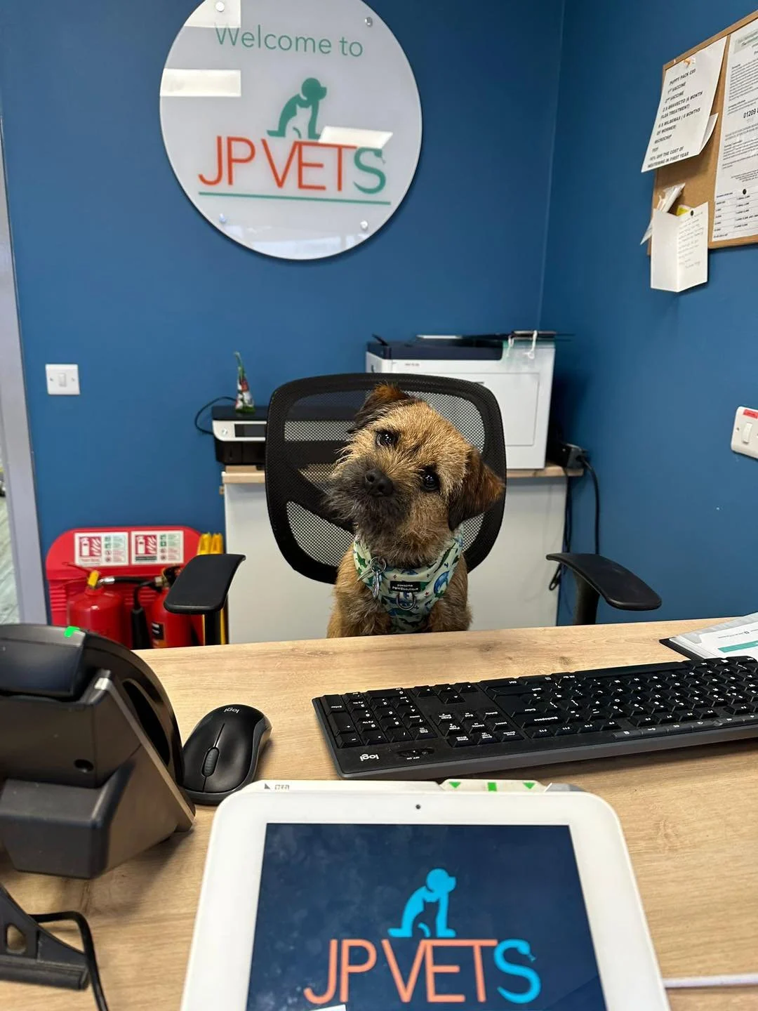 Reception desk at Jacqui Paterson’s Nunthorpe veterinary practice
