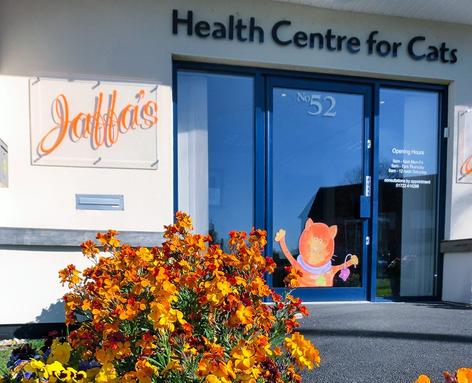 Jaffa’s Health Centre for Cats entrance on St Francis Road in Salisbury