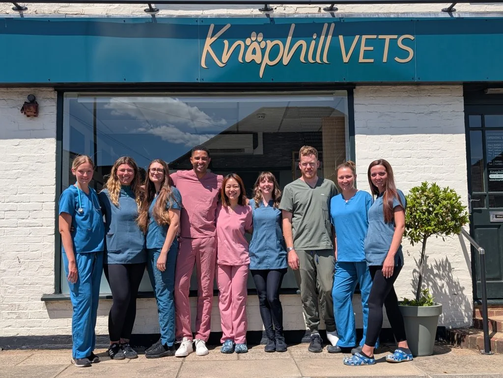 Knaphill Vets team outside the surgery on Anchor Hill
