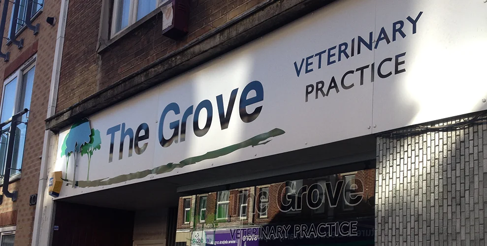 The Grove Veterinary Practice shopfront and sign on Elm Grove in Southsea