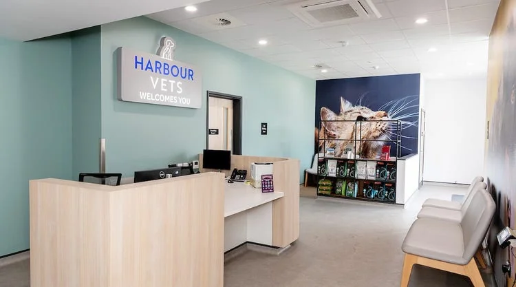 Reception and waiting area at Harbour Veterinary Centre in Southsea
