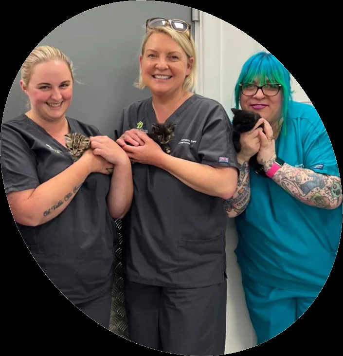 Neighbourhood Vet team inside the Gosport practice