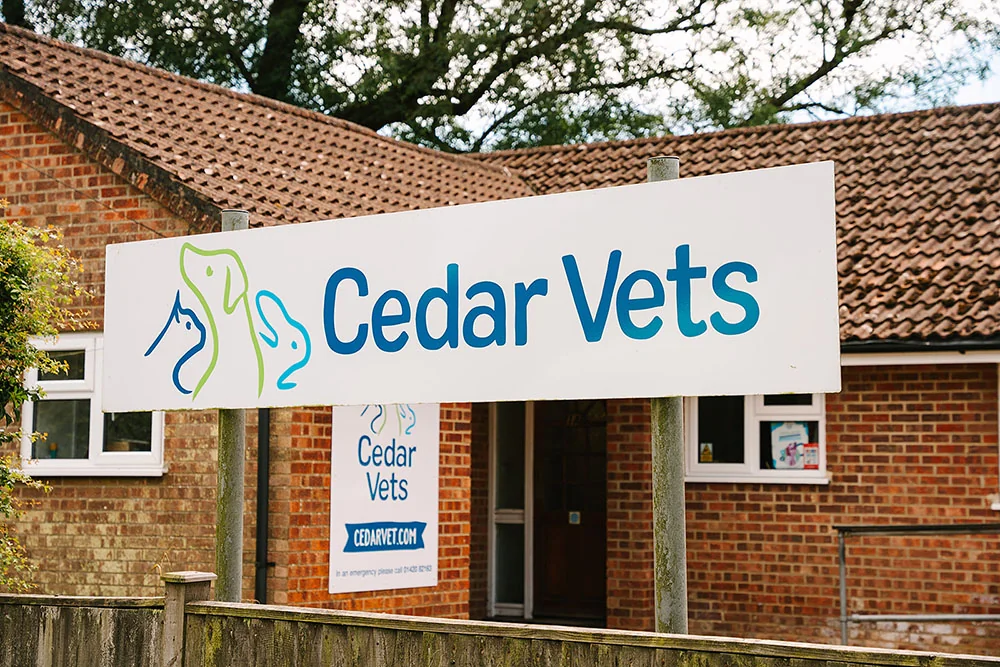 Cedar Vets Four Marks surgery exterior and entrance sign