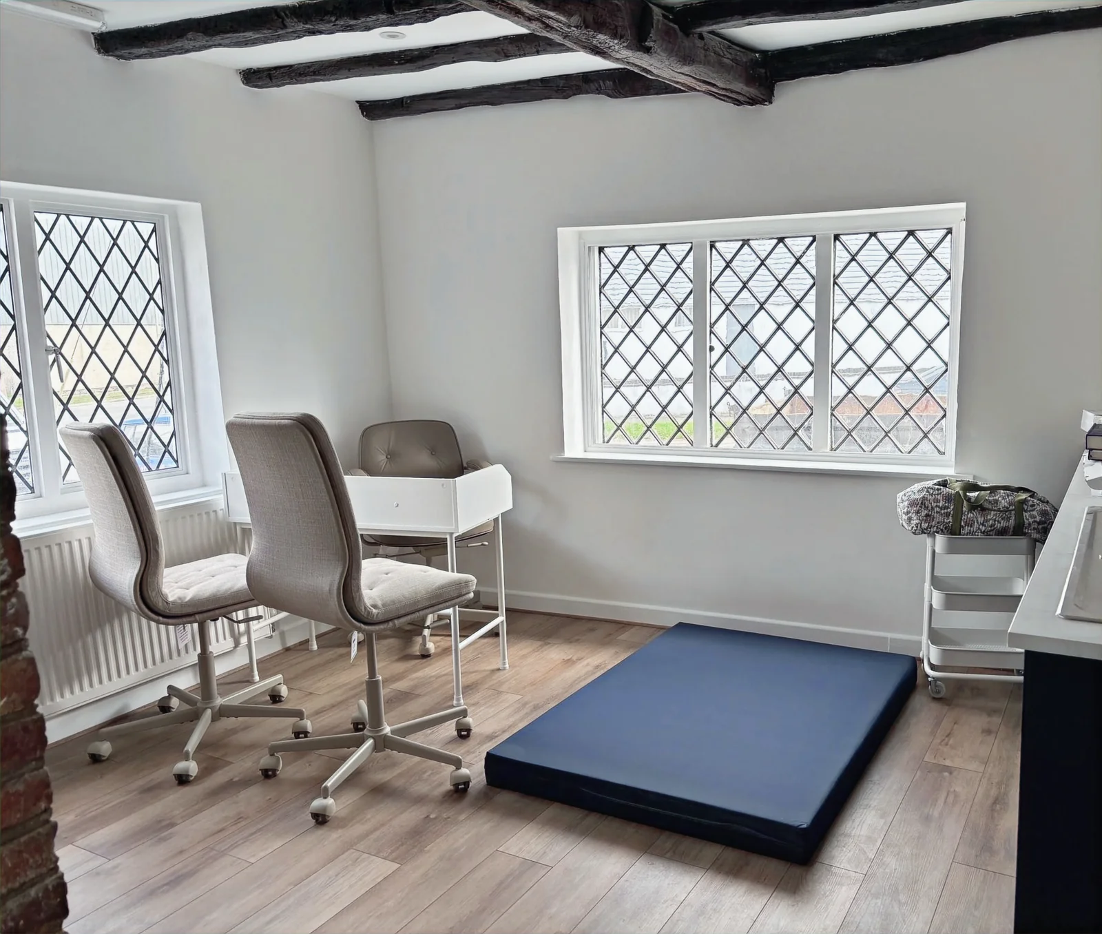 Consultation room at Healing Tails Veterinary Clinic in Alton
