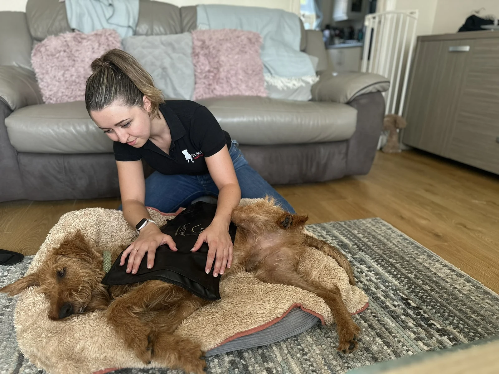 Furapy veterinary physiotherapist treating a dog during a home visit in Hampshire