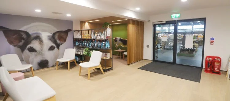 Waiting room at Harbour Veterinary Centre in Havant