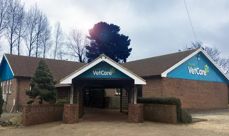 Island VetCare hospital exterior on Brading Road in Ryde