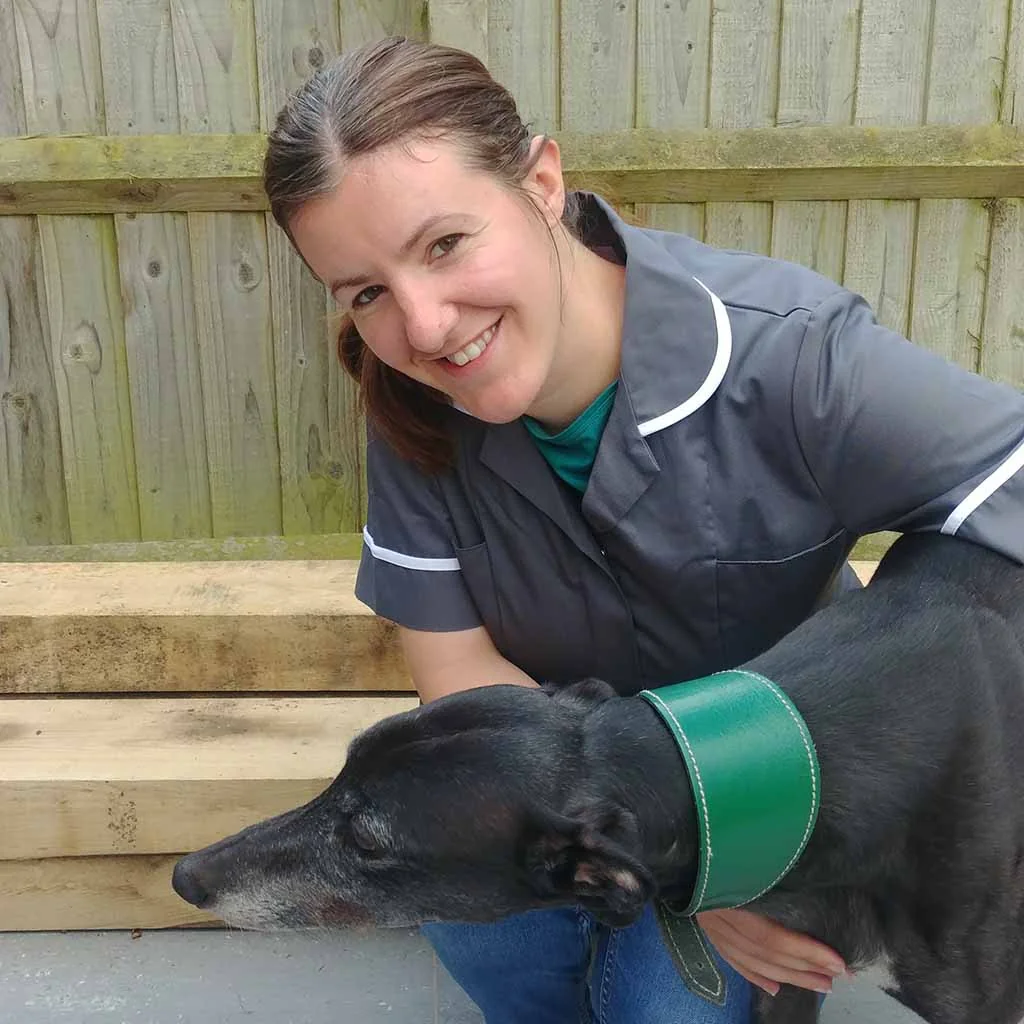 Head vet Rachel Taylor examining a dog for Home Visit Vet in Coventry