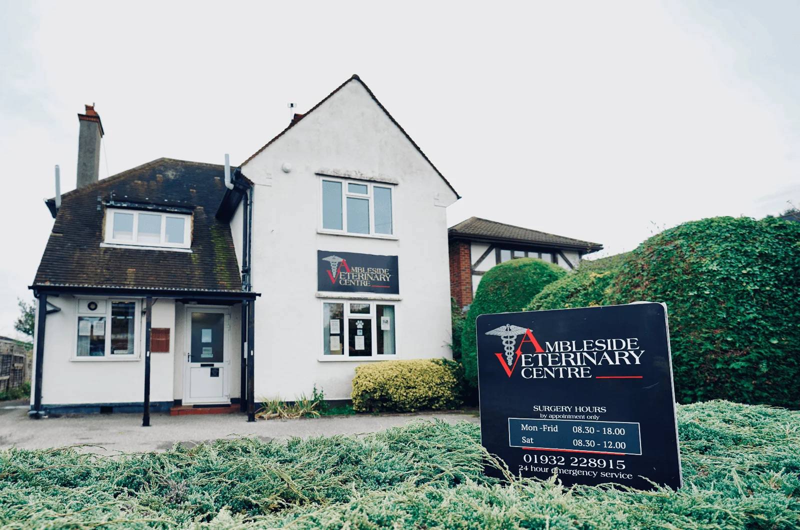 Ambleside Veterinary Centre building and sign in Walton-on-Thames