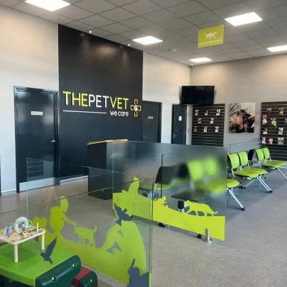 Reception and waiting area at The Pet Vet Liverpool