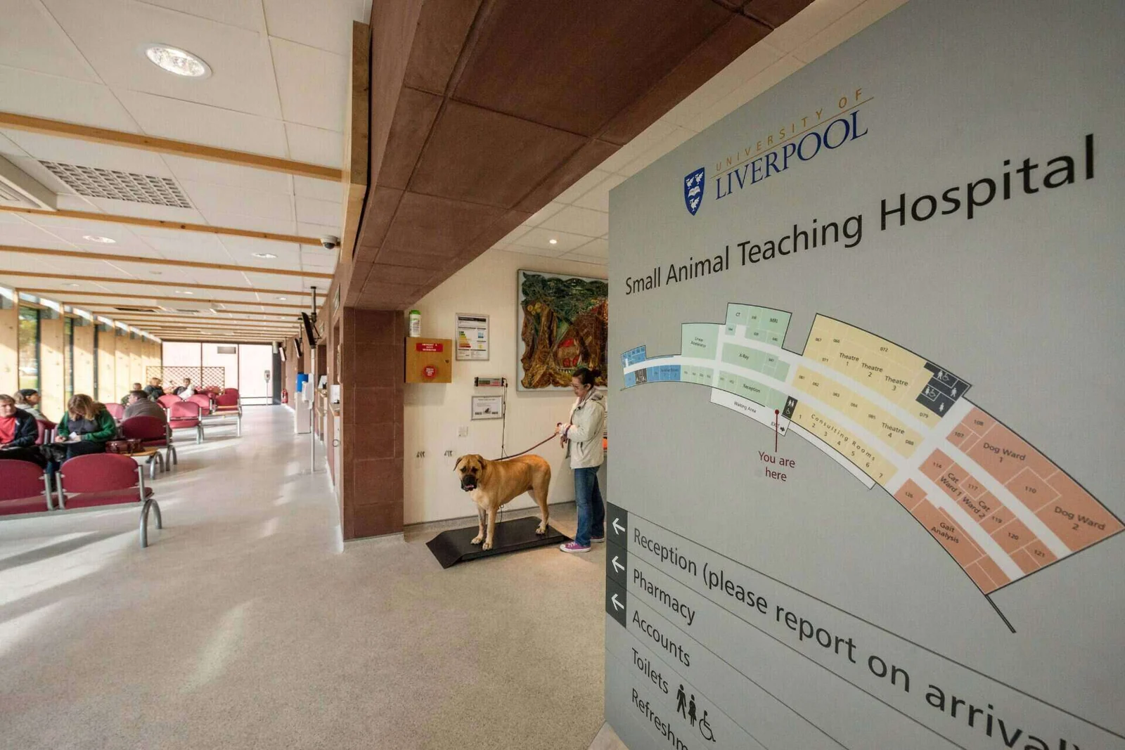 Waiting area at the University of Liverpool Small Animal Teaching Hospital