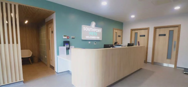 Reception at Southport Veterinary Centre