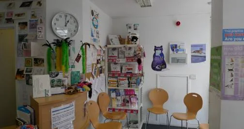 Waiting room at Just Cats Veterinary Clinic on Duke Street, Southport