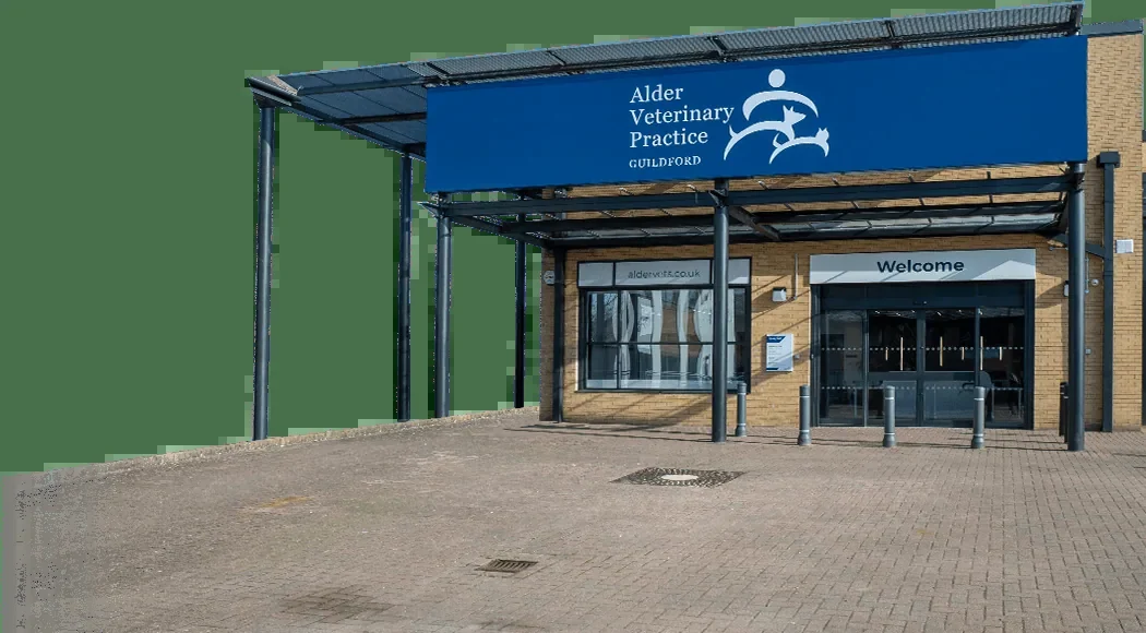 Alder Veterinary Practice entrance and sign in Guildford