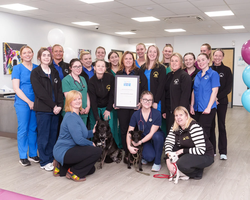 Beech House Veterinary Centre team inside the practice