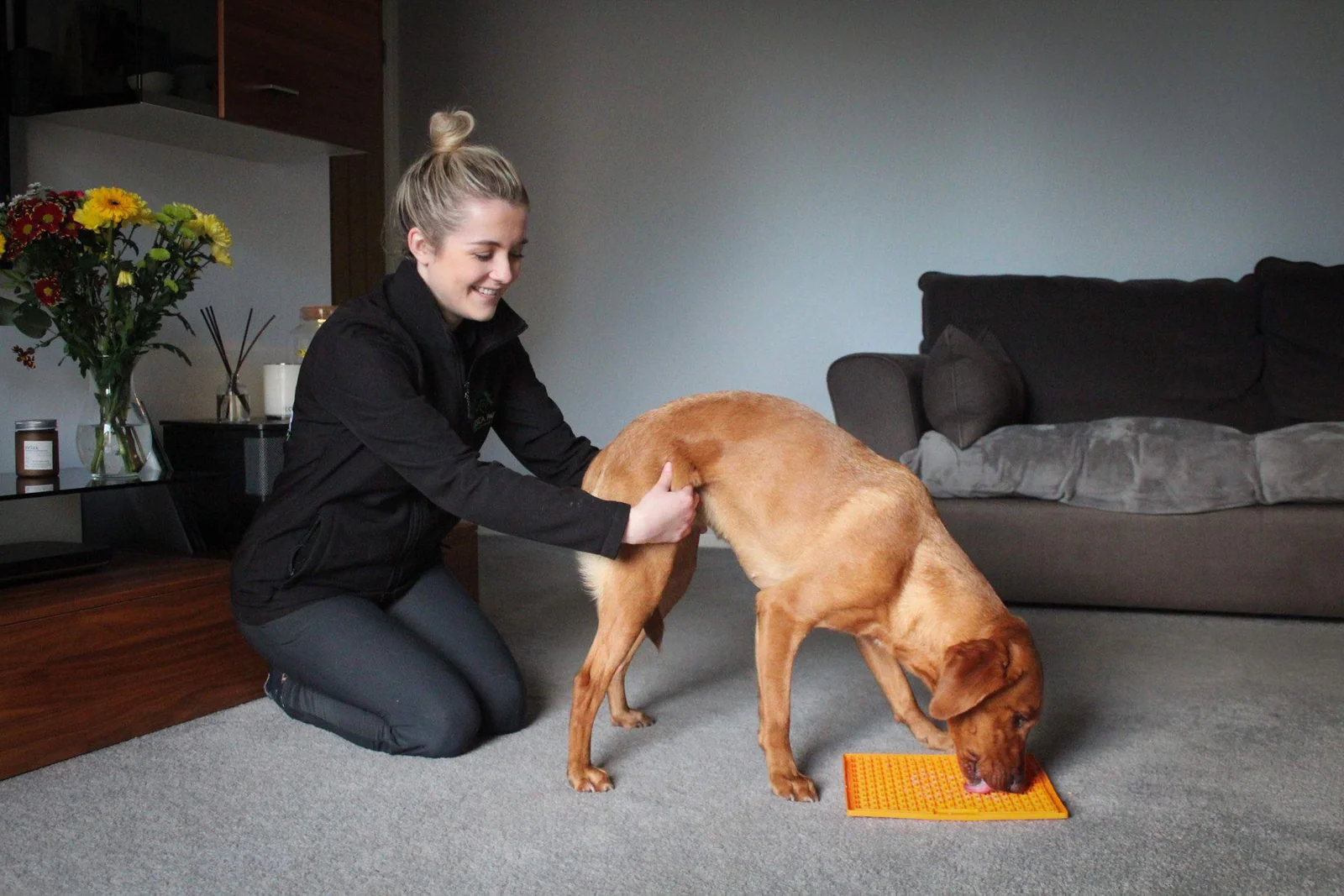 Jessica Parker Veterinary Physiotherapy providing a dog’s rehabilitation exercise
