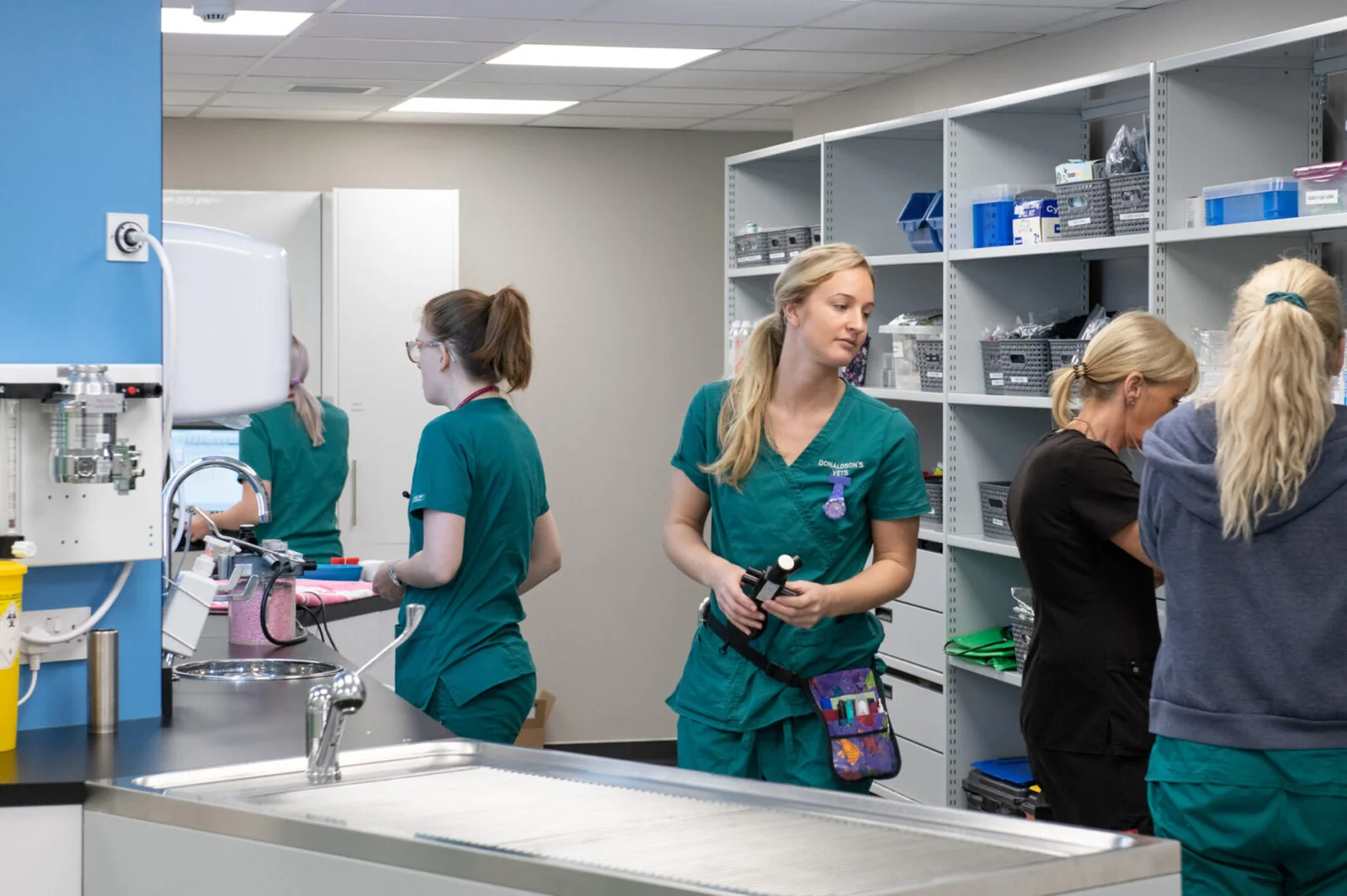 Veterinary staff and treatment area at Donaldson’s Vets Somerset Road hospital