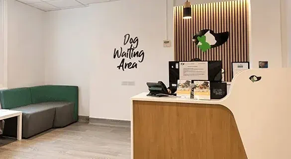 Reception and dog waiting area at Cathcart and Winn Vets in Farnham