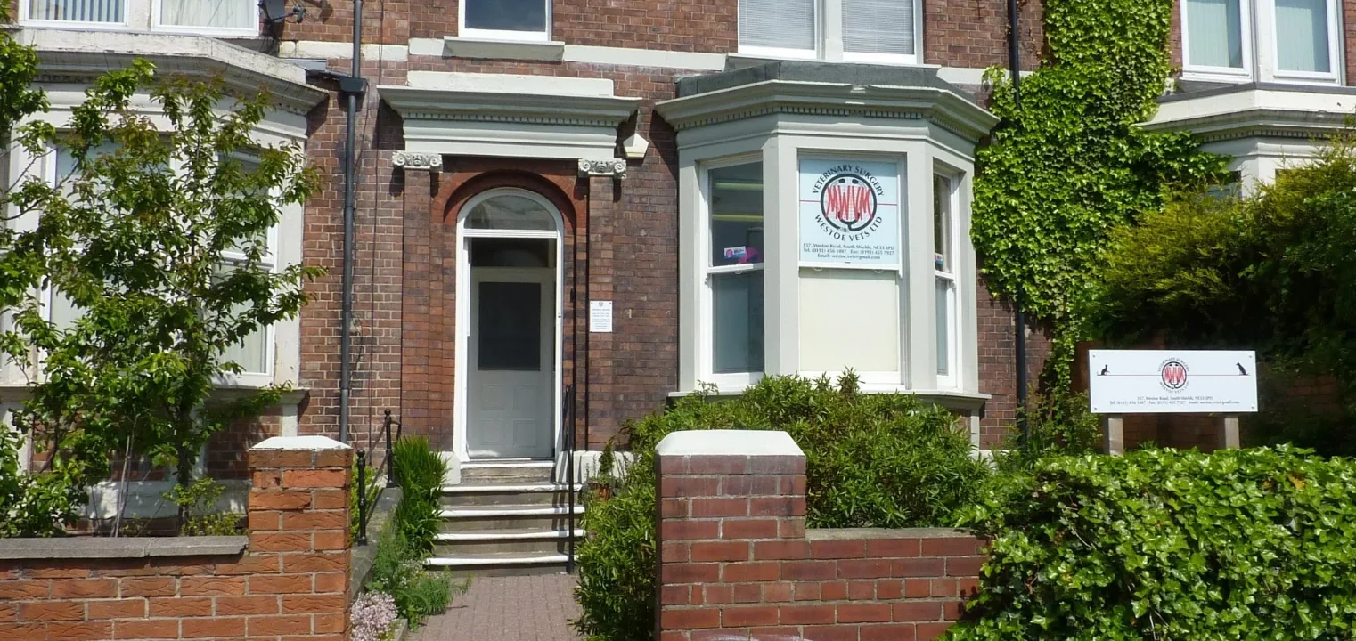 Westoe Veterinary Surgery exterior and entrance on Westoe Road, South Shields