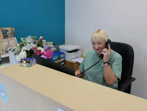 Reception desk at Langley Park Vets