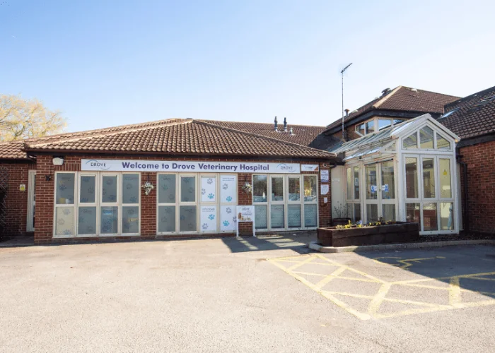 Drove Veterinary Hospital exterior and entrance on Croft Road in Swindon