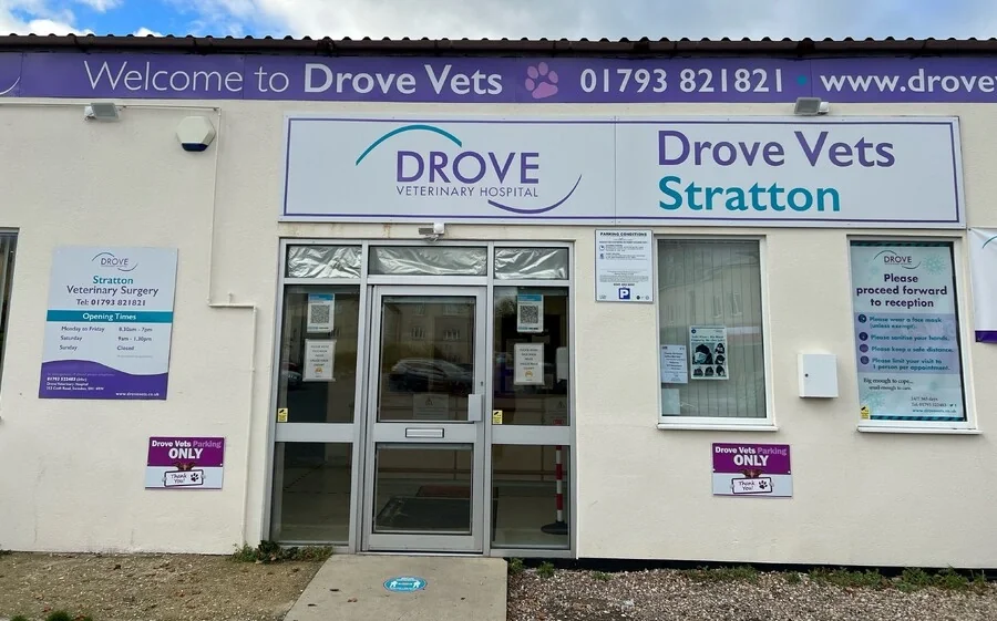 Drove Vets Stratton entrance and practice sign in Swindon