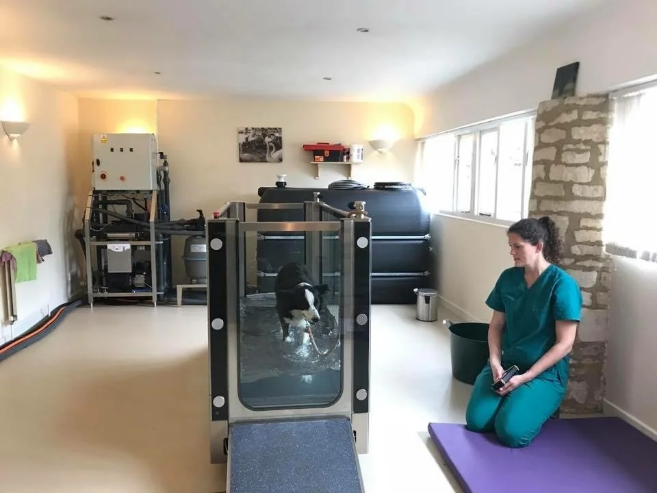 Hydrotherapy treadmill and rehabilitation room at Freedom Vet Rehab Clinic in Upper Castle Combe