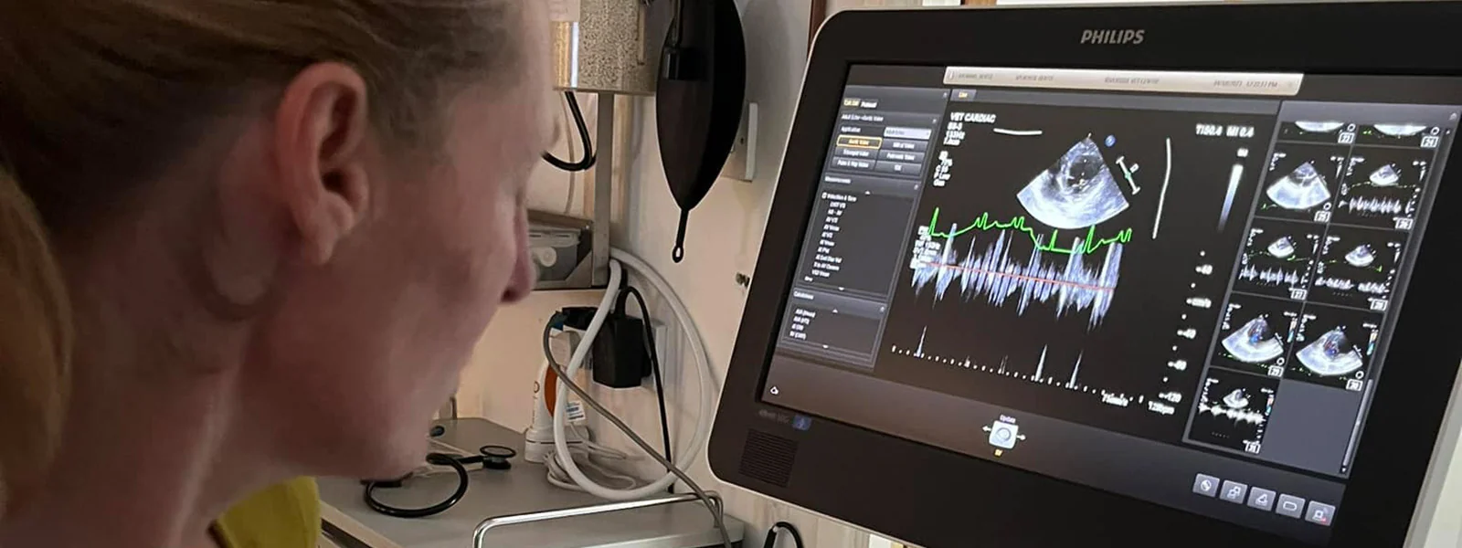 Ultrasound examination equipment in use at Marlborough Vets on London Road