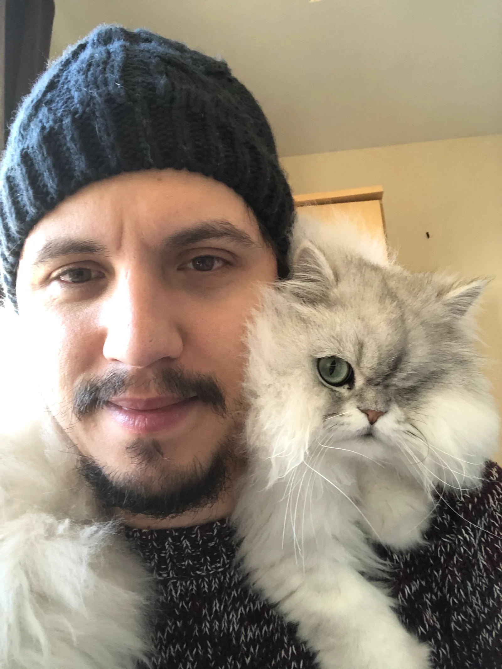 The Site Vet internal medicine clinician Dr Tiago Henriques with a cat