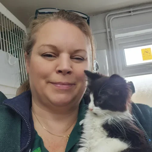 Veterinary nurse Emma Penry with a cat at Wrekin View Vets in Wellington