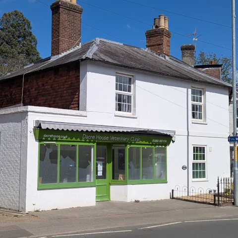 Dacre House Veterinary Clinic exterior on High Street in Pembury