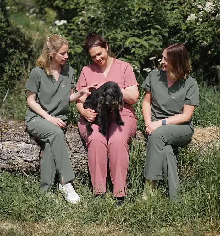 Nova Vets team in Newport, Shropshire