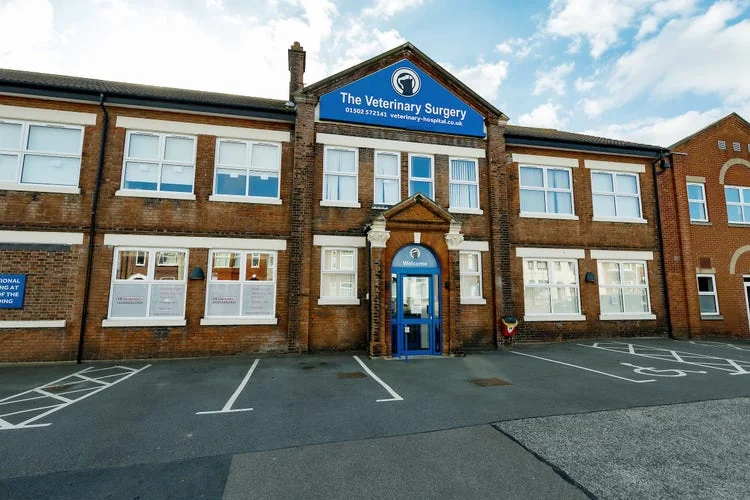 Exterior and entrance of The Veterinary Surgery in Lowestoft
