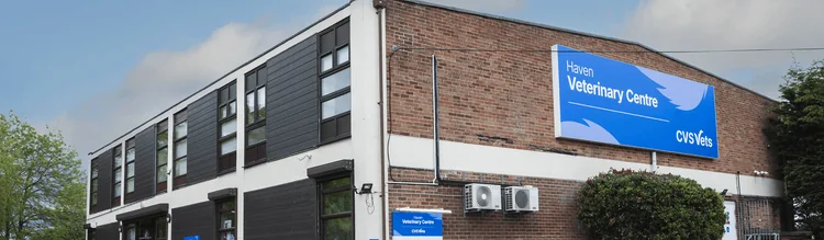 Exterior of Haven Veterinary Centre in Great Yarmouth