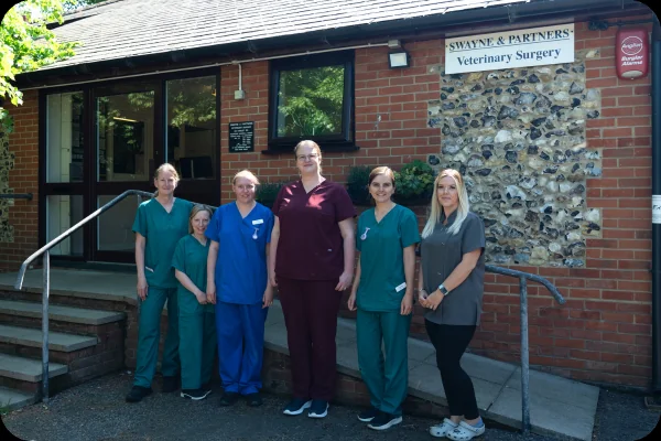 Swayne and Partners Haverhill team outside the veterinary surgery