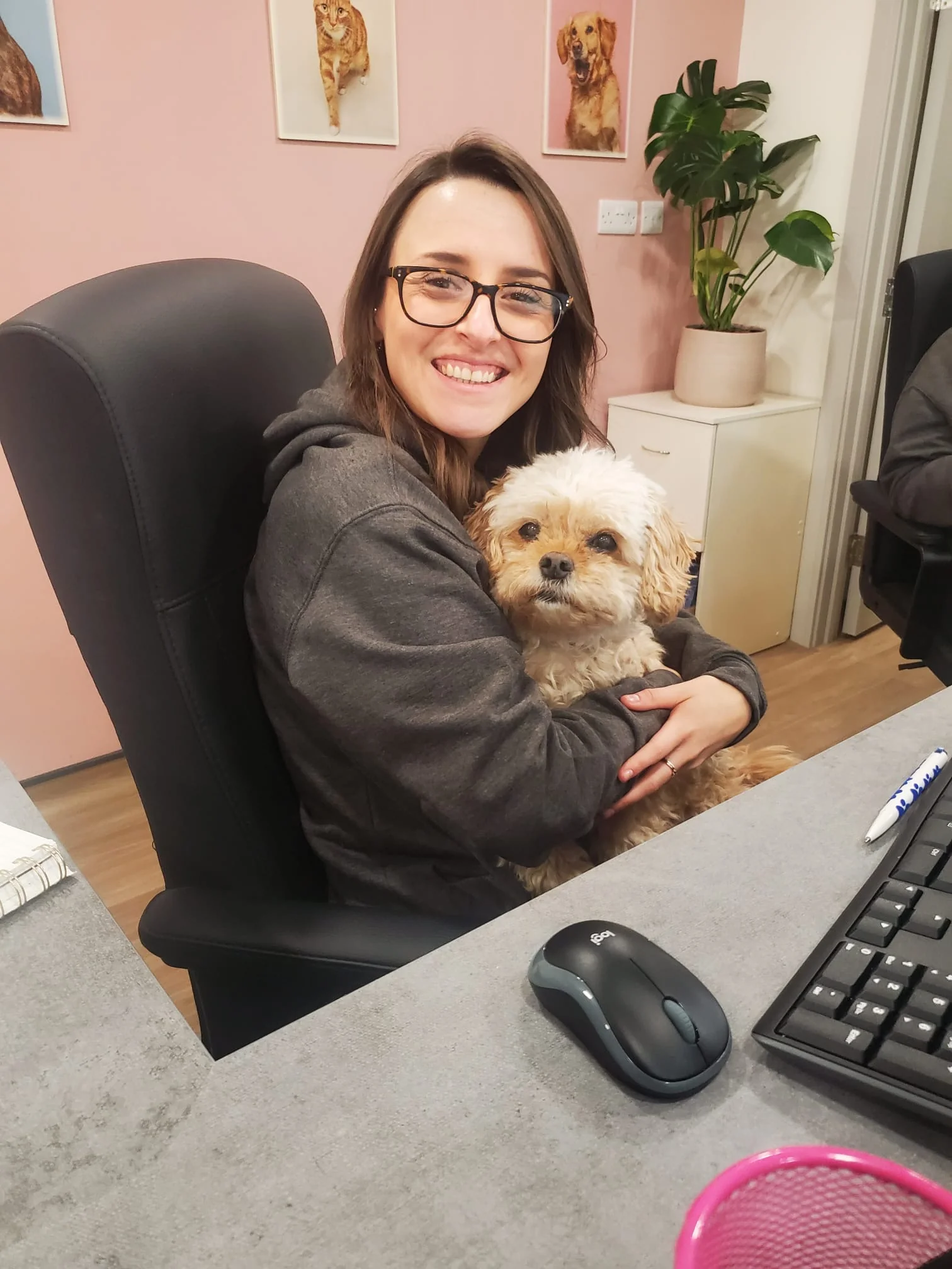 Veterinary team member with a dog at Needham Market Veterinary Centre