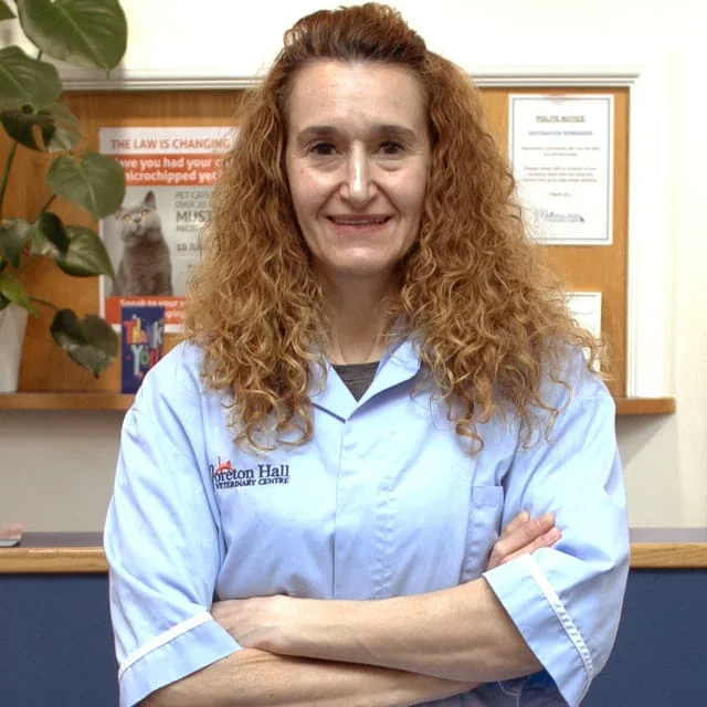 Veterinary surgeon Dr Francesca Capaldo at The Pet Eye Clinic in Bury St Edmunds