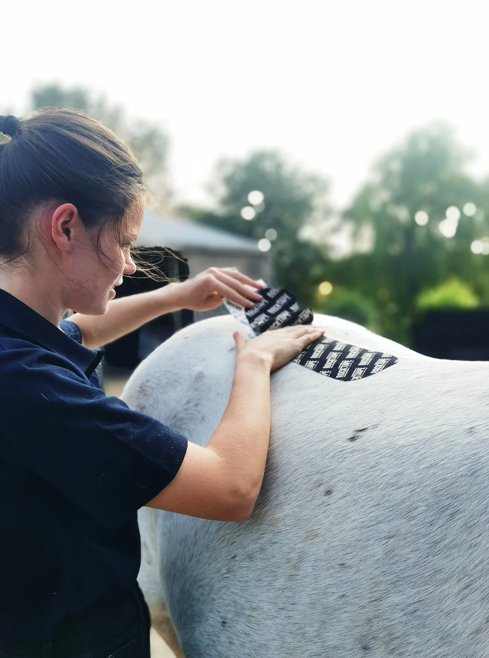 ARC Veterinary Physiotherapy applying kinesiology tape to a horse