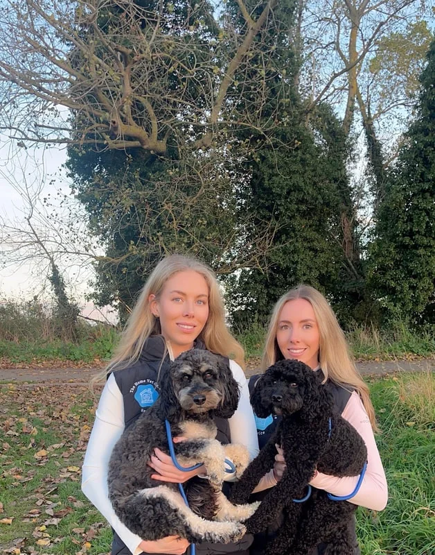 The Home Vet Care Service team with dogs in Brantham