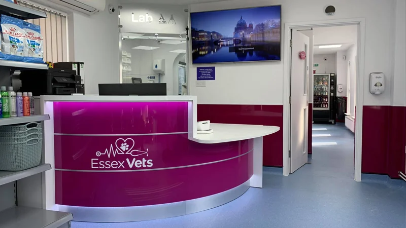 Reception area at Essex Vets in South Woodham Ferrers
