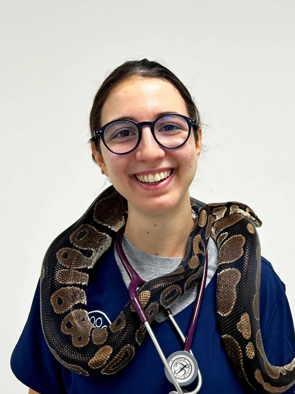 All Paws Vets team member with a snake at the Harlow practice
