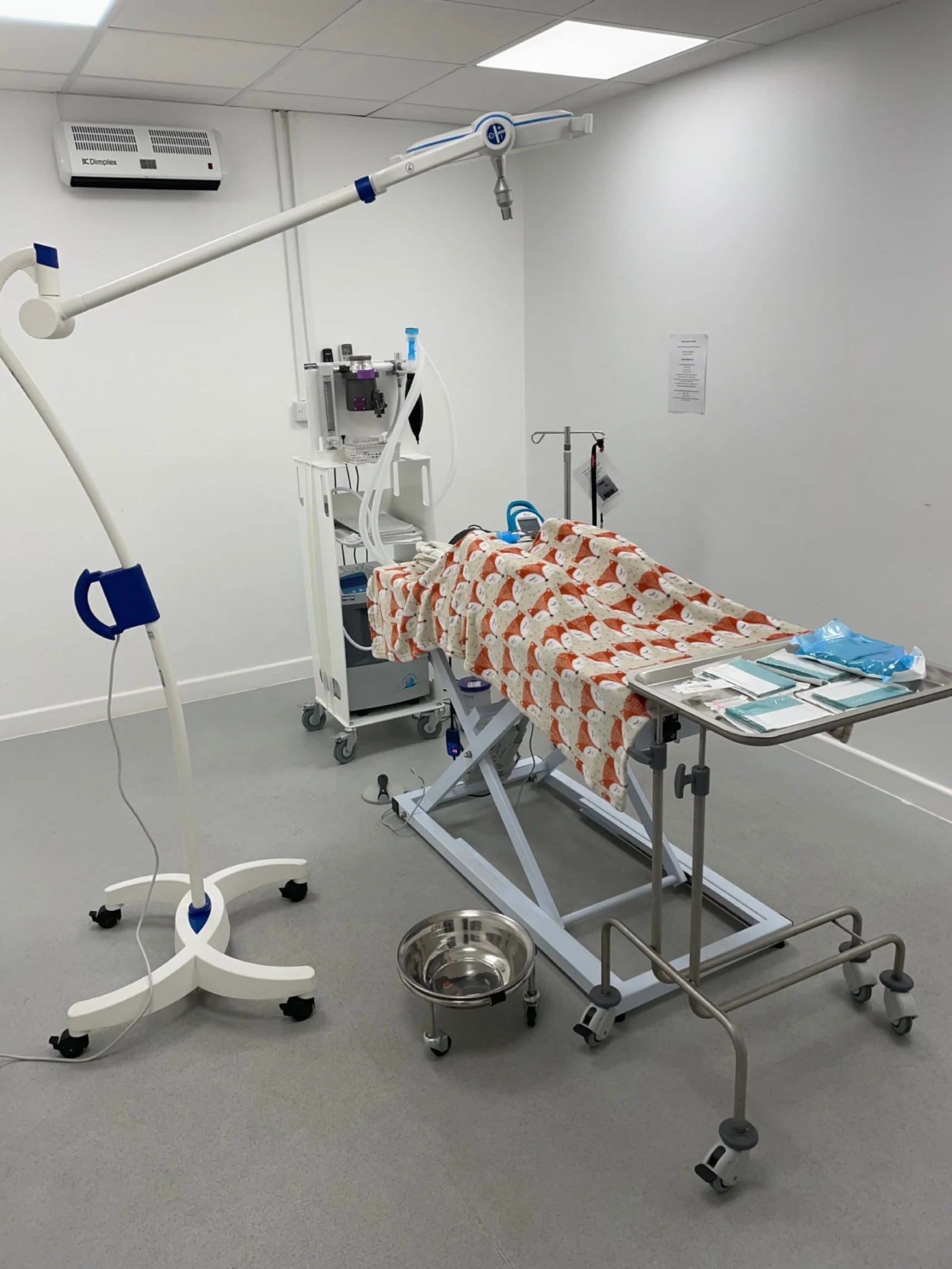 Sterile surgical theatre at Tari Vets in Shenfield