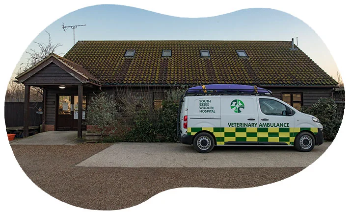South Essex Wildlife Hospital building and veterinary ambulance in Orsett