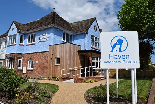 Haven Veterinary Practice exterior and entrance sign in Clacton-on-Sea