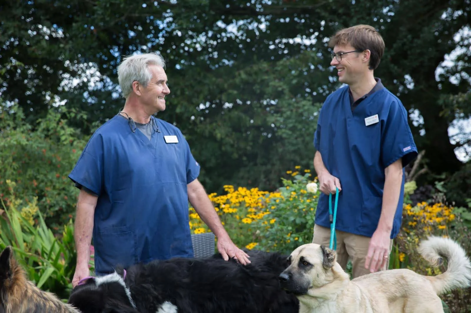 Linkswood Veterinary Centre vets with dogs in Halstead