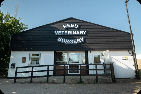 Reed Veterinary Surgery building and entrance near Royston