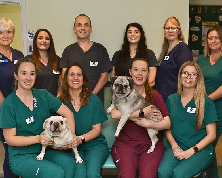 Banstead Village Veterinary Surgery team inside the practice