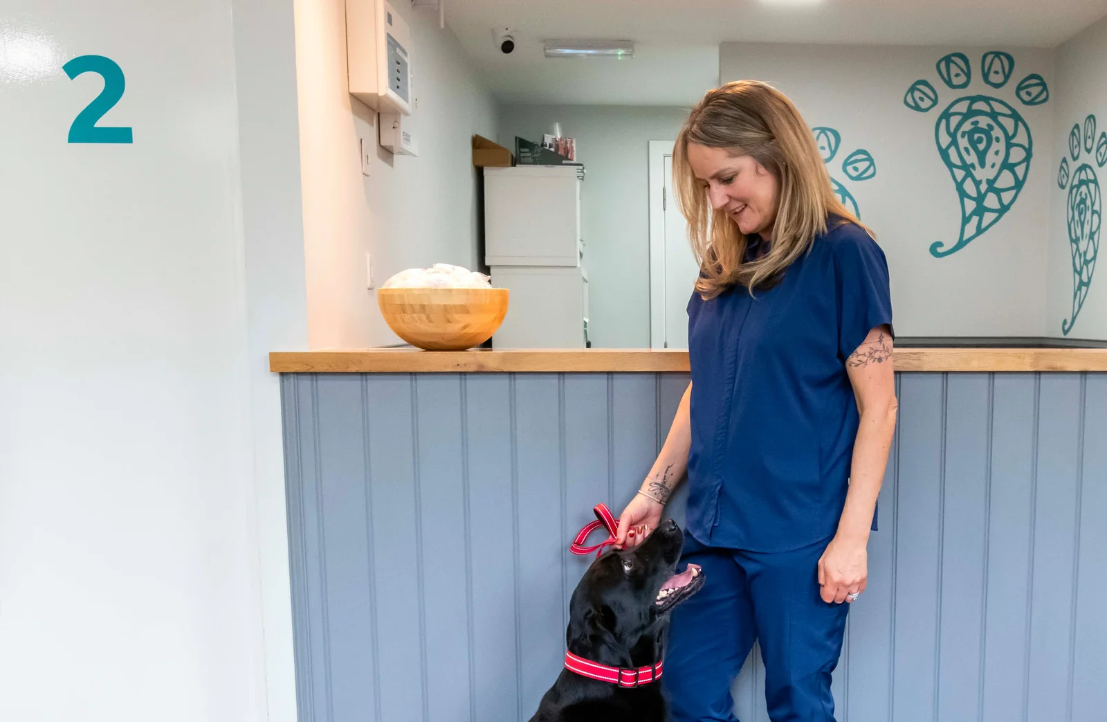 Veterinary nurse with a dog in the reception area at Love Street Vets in Paisley